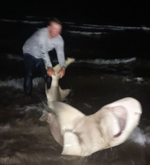 Matagorda Shark Fishing